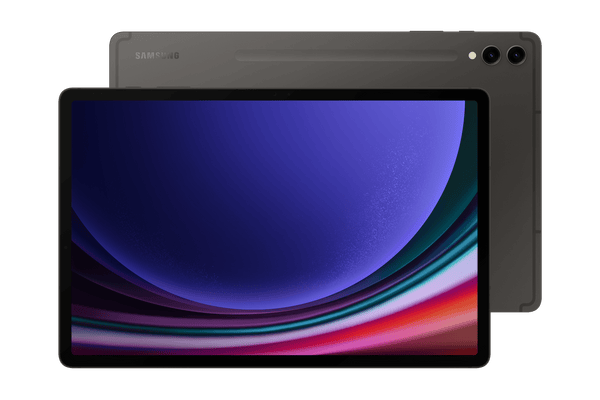Samsung Galaxy Tab S9+ 5G 12GB 256GB Gray