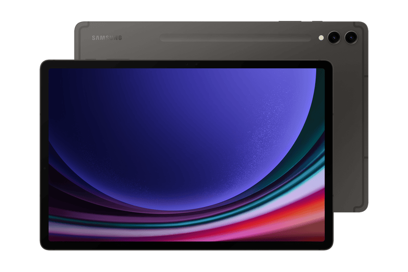 Samsung Galaxy Tab S9+ 5G 12GB 256GB Gray