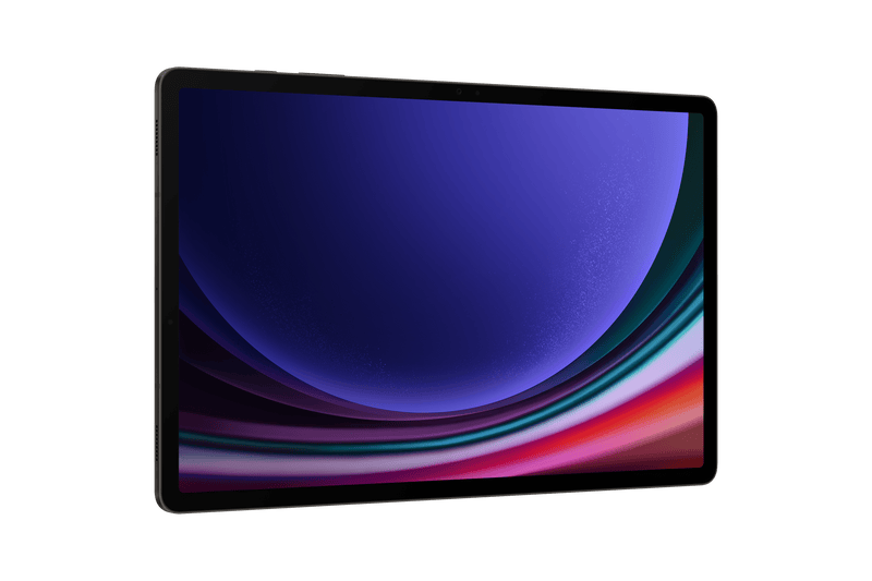 Samsung Galaxy Tab S9+ 5G 12GB 256GB Gray