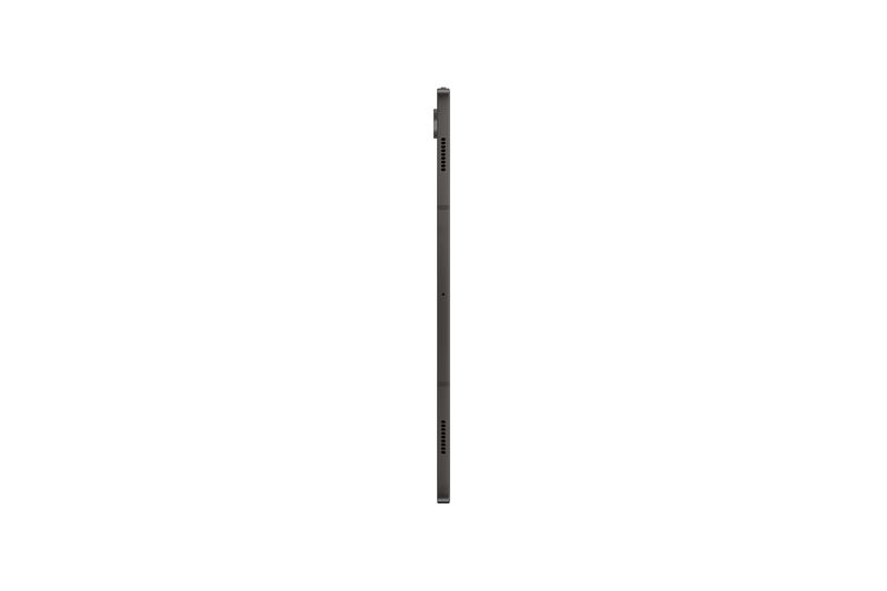 Samsung Galaxy Tab S9+ 5G 12GB 256GB Gray