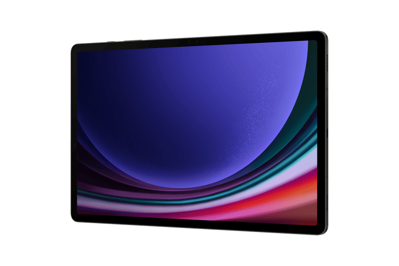 Samsung Galaxy Tab S9+ 5G 12GB 256GB Gray