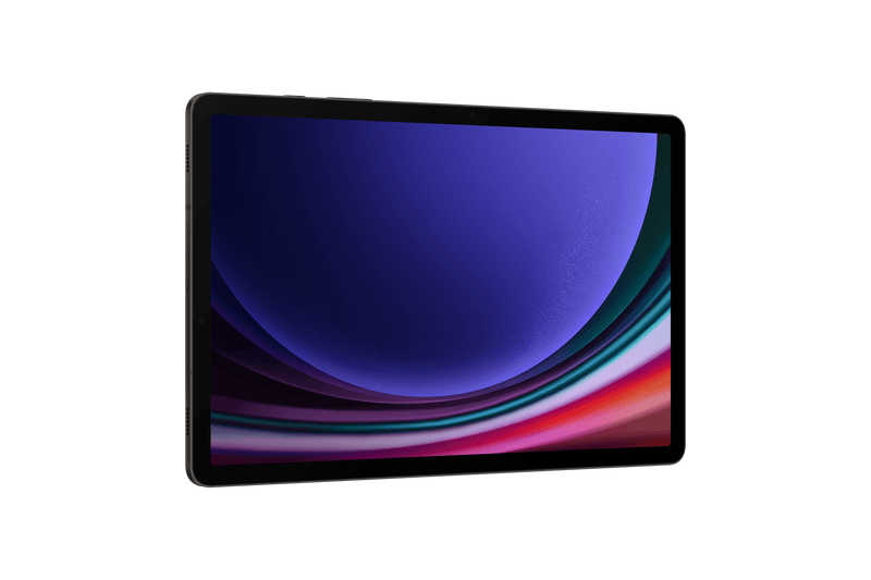 Samsung Galaxy Tab S9 5G 12GB 256GB Gray